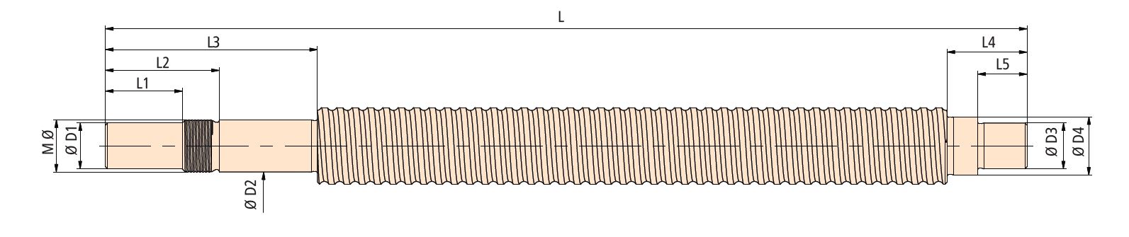 Ball Screw Dimension Drawing